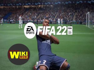 متطلبات تشغيل فيفا 22