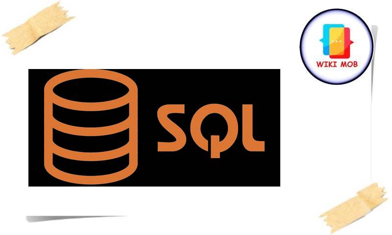 حل مشكلة sql server - ويكي موب